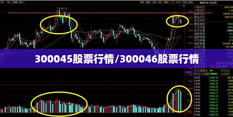 300045股票行情/300046股票行情