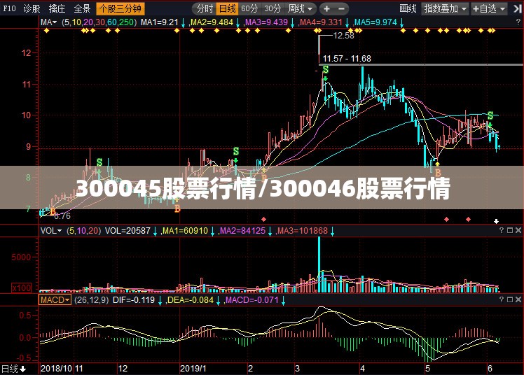 300045股票行情/300046股票行情