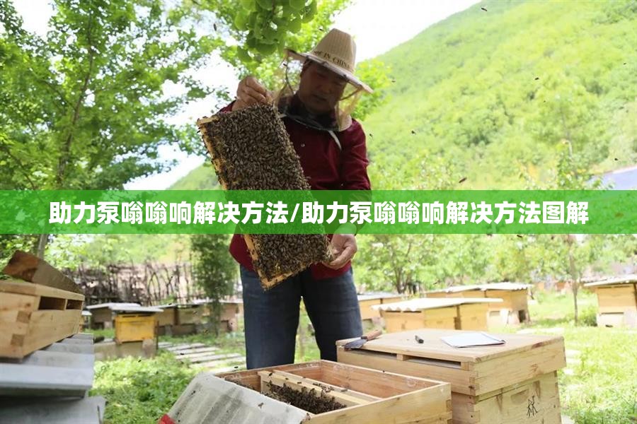 助力泵嗡嗡响解决方法/助力泵嗡嗡响解决方法图解