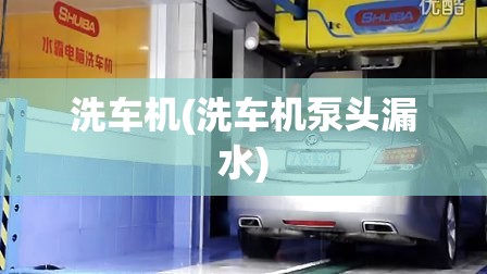 洗车机(洗车机泵头漏水)