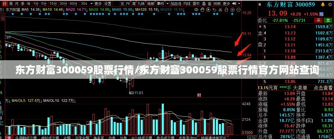 东方财富300059股票行情/东方财富300059股票行情官方网站查询