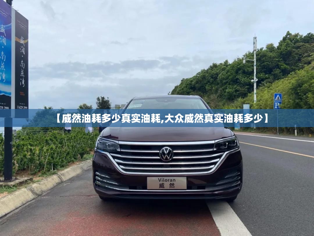 【威然油耗多少真实油耗,大众威然真实油耗多少】