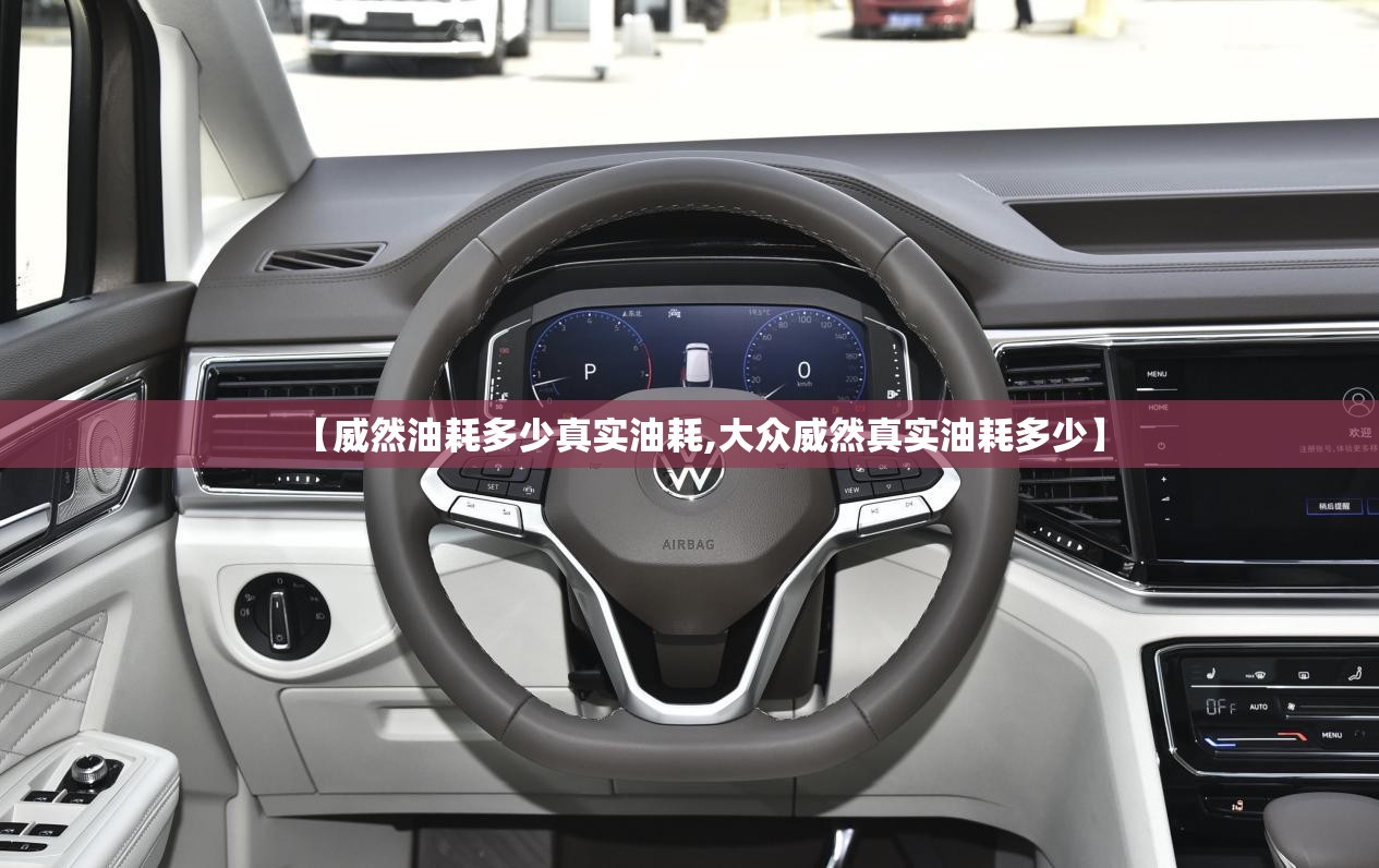 【威然油耗多少真实油耗,大众威然真实油耗多少】